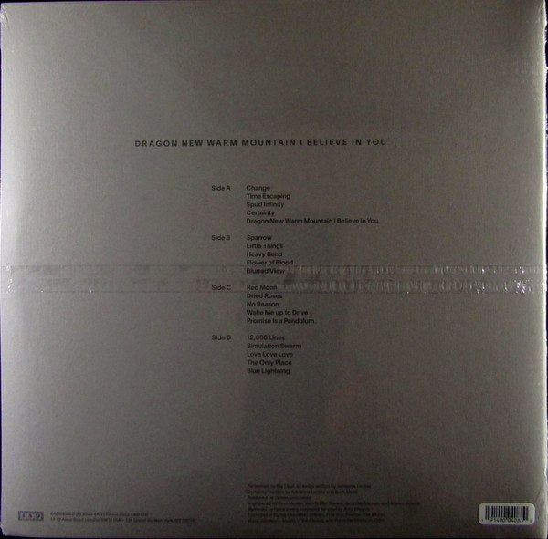 dragon new warm mountain I believe in you